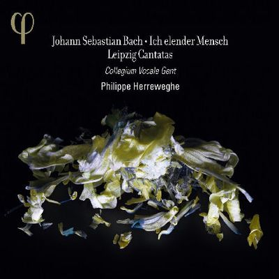 ICH ELENDER MENSCH: LEIPZIG CANTATAS/ PHILIPPE HERREWEGHE [바흐: 라이프치히 칸타타 2집 - 필립 헤레베헤]