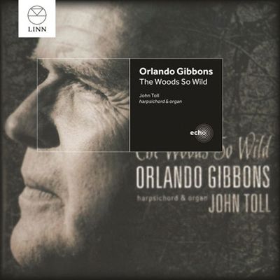 THE WOODS SO WILD/ JOHN TOLL [LINN ECHO] [기본스: 키보드 음악]