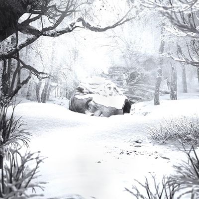 SZNZ: WINTER