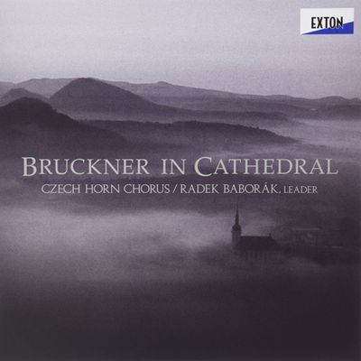 BRUCKNER IN CATHEDRAL/ CZECH HORN CHORUS [180G LP] [브루크너: 교향곡 7번 2악장 아다지오, 빈트 하거 미사곡 & 모테트 - 호른 앙상블 편곡반] [한정반]