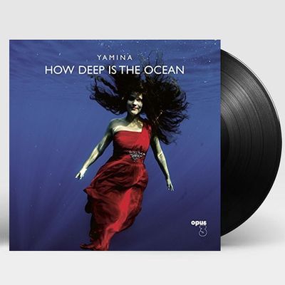 HOW DEEP IS THE OCEAN [180G LP]