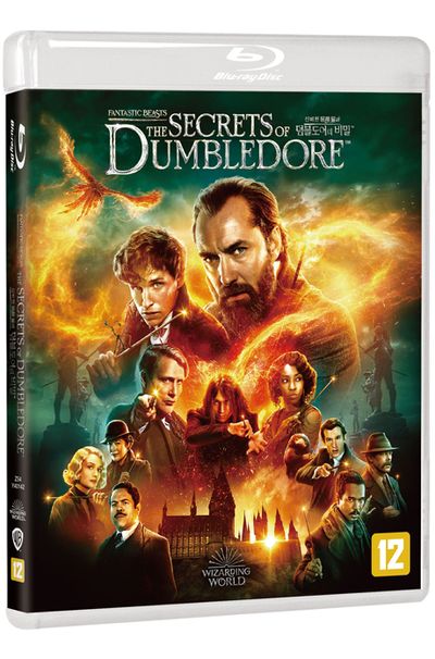 신비한 동물들과 덤블도어의 비밀 [FANTASTIC BEASTS: THE SECRETS OF DUMBLEDORE]