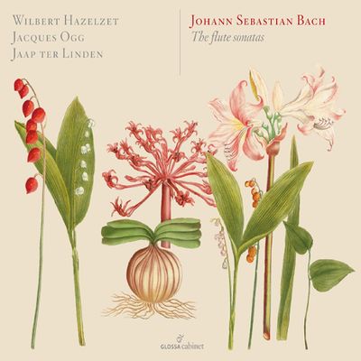 THE FLUTE SONATAS/ WILBERT HAZELZET, JACQUES OGG, JAAP TER LINDEN