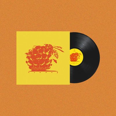 NEW DAY [LP]