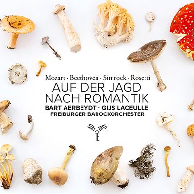 AUF DER JAGD NACH ROMANTIK/ BART AERBEYDT, GIJS LACEULLE [모차르트, 베토벤, 로제티 외: 낭만을 찾아 떠나는 여행 - 바르트 아르베이트, 헤이스 라쇨러]