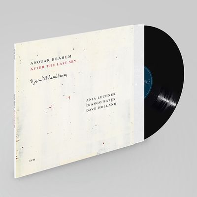 AFTER THE LAST SKY [LP]