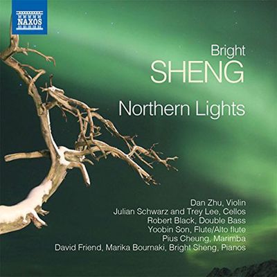 NOTHERN LIGHTS/ DAN ZHU, JULIAN SCHWARZ [브라이트 섕(盛宗亮): 노던 라이츠 외]