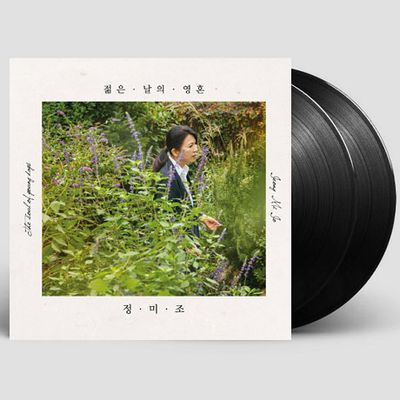젊은 날의 영혼 [180G LP] [한정반]