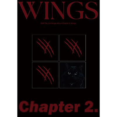 CHAPTER 2. WINGS [NIGHT VER]