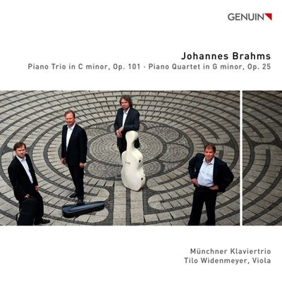 PIANO TRIO IN C MINOR OP.101/ MUNCHNER KLAVIERTRIO, TILO WIDENMEYER