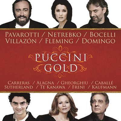 PUCCINI GOLD [푸치니 골드]