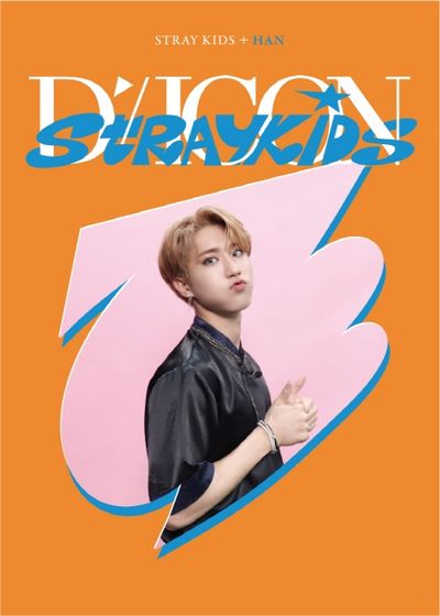 DICON D'FESTA MINI EDITION:STRAY KIDS 05-HAN (디아이콘 디페스타