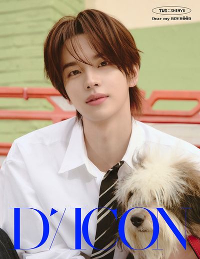 DICON VOLUME N°34 TWS DEAR MY BOYHOOD : A-TYPE 1. SHINYU