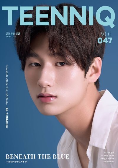 틴니크 47호 (A형)