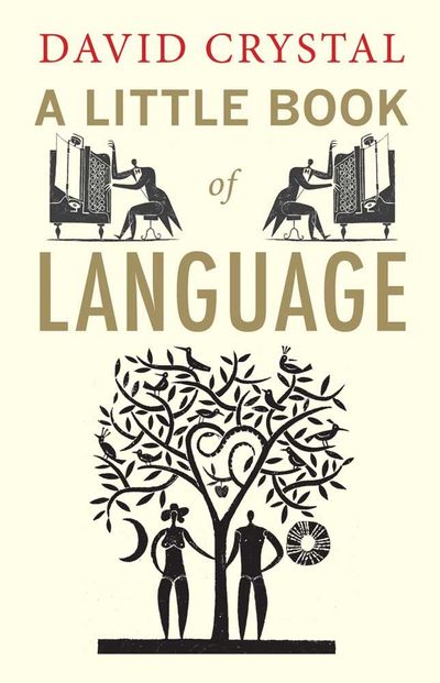 A Little Book of Language | David Crystal - 교보문고