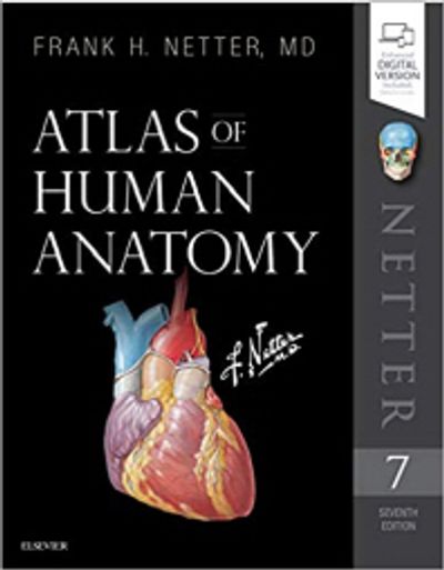 Atlas of Human Anatomy | Netter, Frank H. - 교보문고