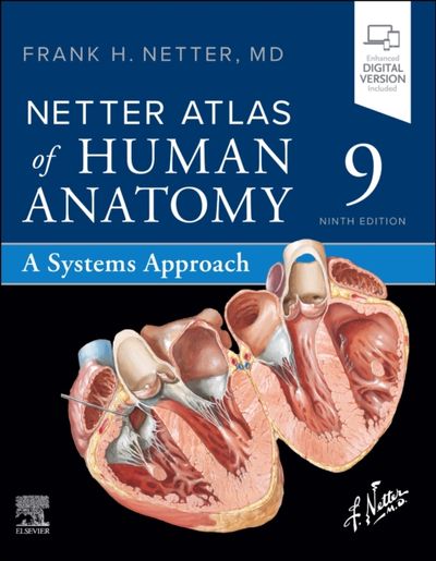 Netter Atlas of Human Anatomy | Frank H., MD Netter - 교보문고