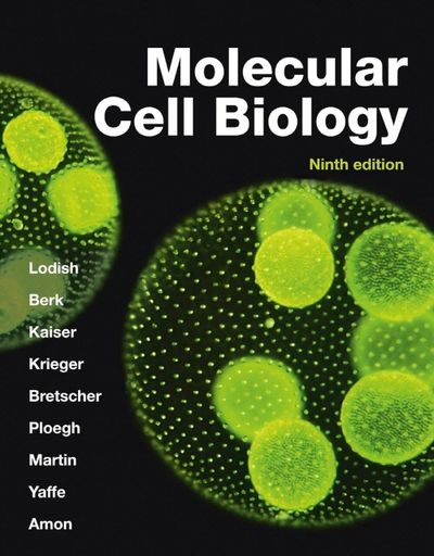 Molecular Cell Biology | Harvey Lodish - 교보문고