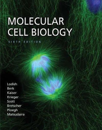 Molecular Cell Biology 6/E | Lodish, Harvey F. - 교보문고