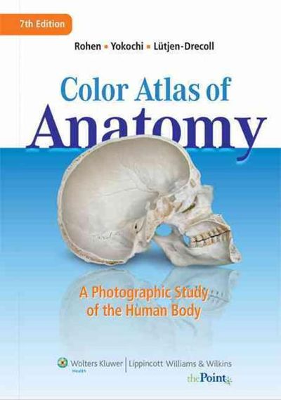 Color Atlas of Anatomy | Rohen, Johannes W./ Yokochi, Chichiro