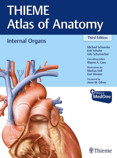 Thieme Atlas of Anatomy: Internal Organs | Michael Schuenke - 교보문고
