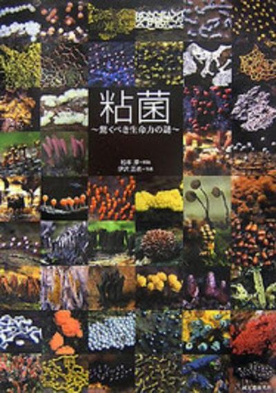 粘菌 驚くべき生命力の謎 中古本・書籍 | ブックオフ公式オンラインストア