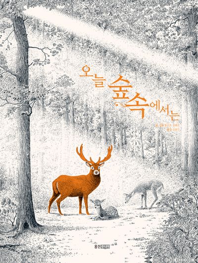 상세이미지
