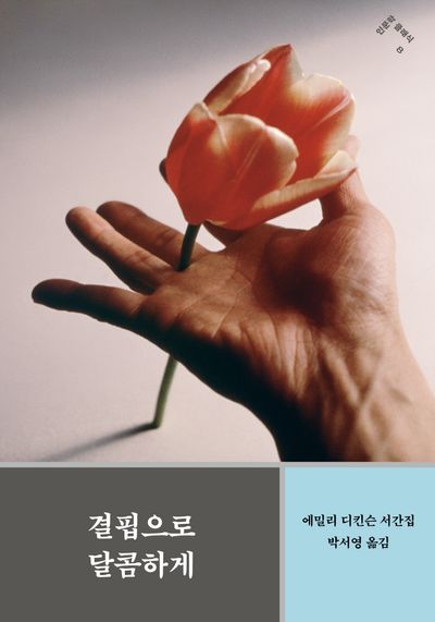 상세이미지