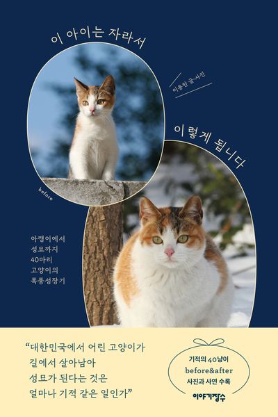 도서 대표 이미지