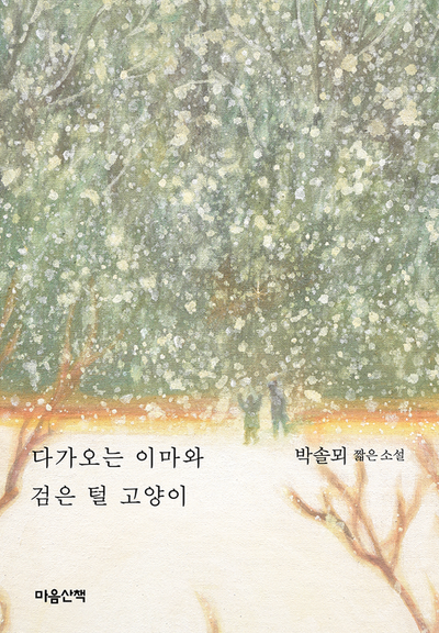 다가오는 이마와 검은 털 고양이