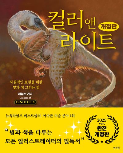 컬러 앤 라이트