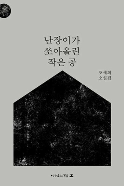 난장이가 쏘아올린 작은 공