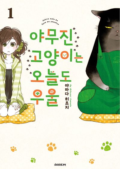 韓国版　야무진 고양이는 오늘도 우울 1-11巻セット デキる猫は今日も憂鬱 야무진 고양이는 오늘도 우울 1 - 교보문고