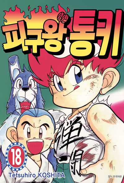 피구왕 통키 18(완결)