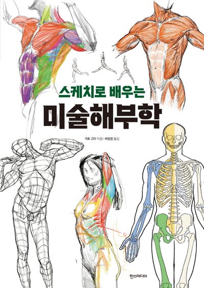 인체 해부학 얼굴 근육