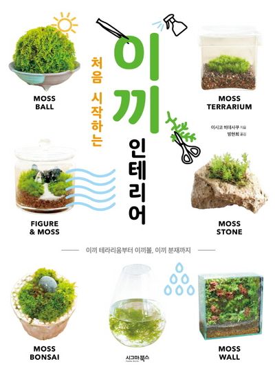 처음 시작하는 이끼 인테리어 대표 이미지