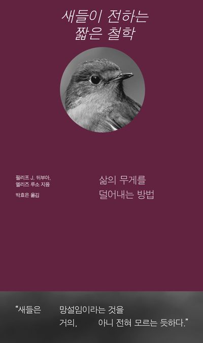 새들이 전하는 짧은 철학 - 삶의 무게를 덜어내는 방법