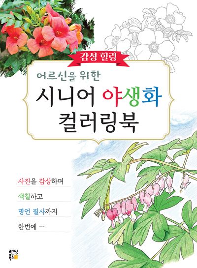어르신을 위한 감성 힐링 시니어 야생화 컬러링북 대표 이미지