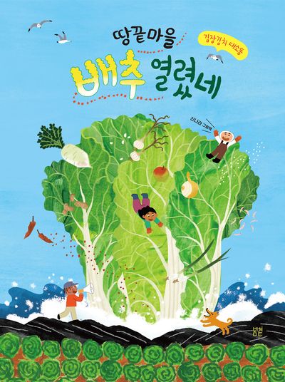 땅끝 마을 배추 열렸네 대표 이미지