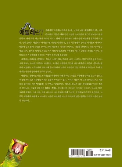 나비와 나방 그리고 애벌레의 이해 부가 이미지2