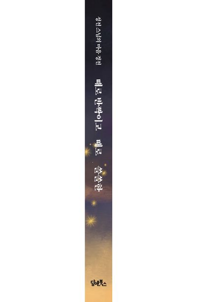 때로 반짝이고 때로 쓸쓸한 부가 이미지2