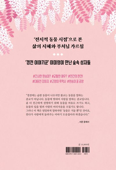 숲속 성자들 부가 이미지2