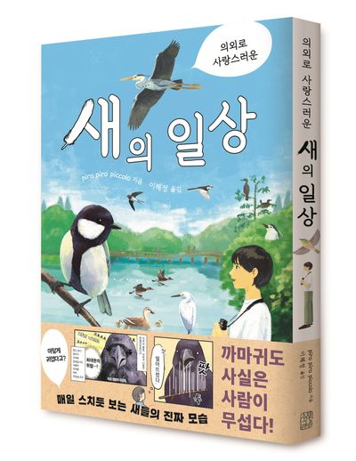 의외로 사랑스러운 새의 일상 부가 이미지1