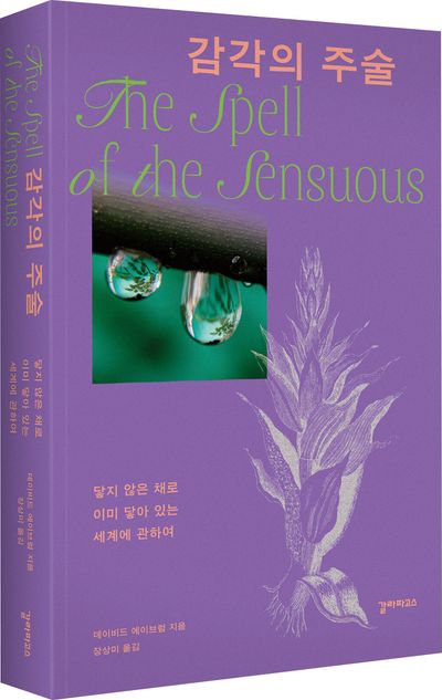 감각의 주술 부가 이미지1