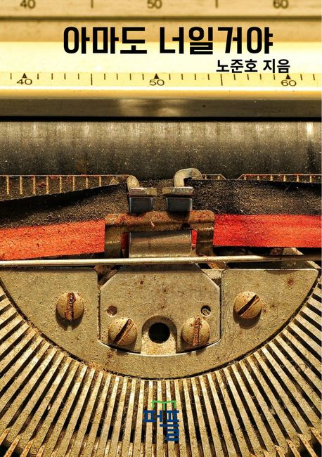 아마도 너일거야 표지