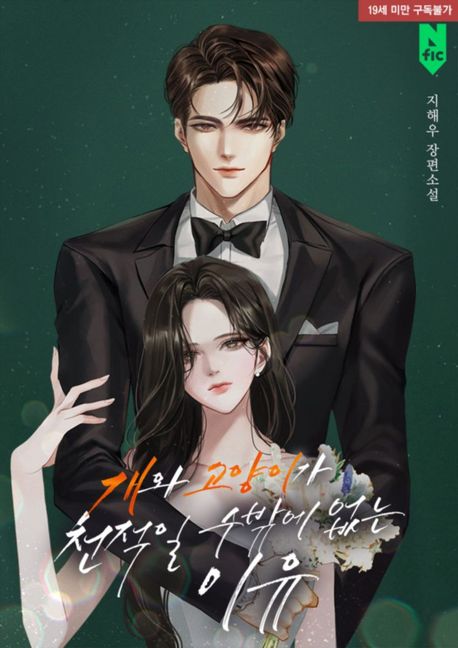 개와 고양이가 천적일 수밖에 없는 이유