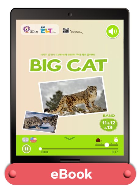 리딩앤 퓨처팩 Big Cat Band11/12/13 (전84권)