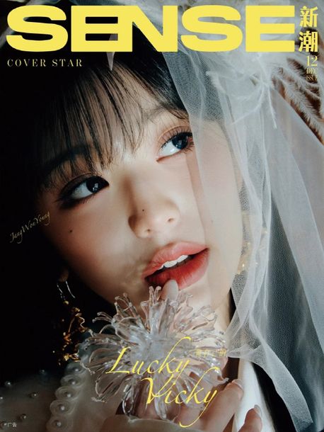 SENSE24년 12월 IVE (장원영) B형: 카드 4장