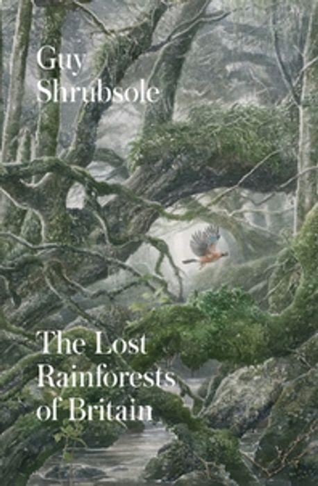In Search Of Britain's Lost Rainforests - Foto 5