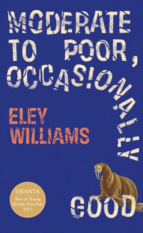 Moderate to Poor, Occasionally Good | Eley Williams - 교보문고